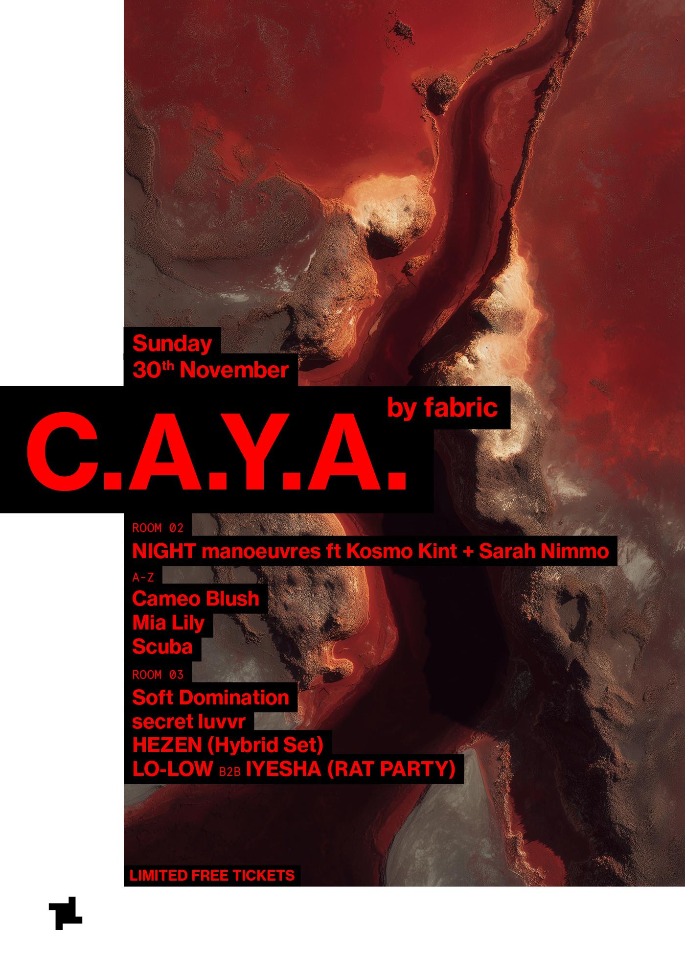 CAYA by fabric: NIGHT manoeuvres, Scuba, Cameo Blush, Mia Lily, secret luvvr, LO-LOW + more